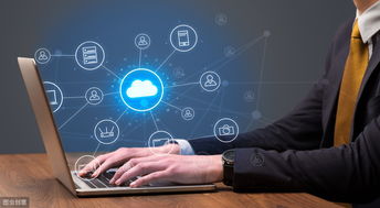 農(nóng)產(chǎn)品電子商務(wù)發(fā)展 機遇、挑戰(zhàn)與經(jīng)營策略探討