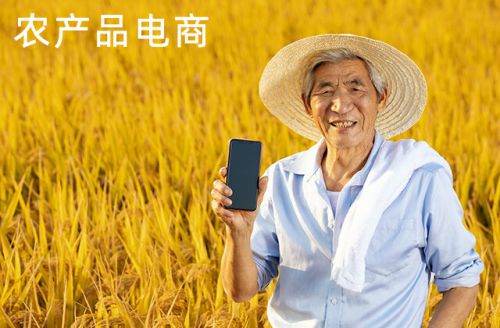 推動農(nóng)產(chǎn)品電商數(shù)字化改造 物流與經(jīng)營雙輪驅(qū)動的農(nóng)業(yè)新篇章